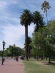 Parken