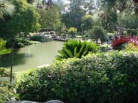 Japansk trädgård
