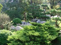 Japansk trädgård