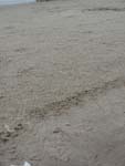DSC04640.jpg