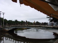 DSC06418.jpg