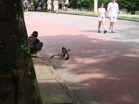 DSC04547.jpg