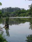 DSC06185.jpg