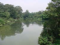 DSC04692.jpg