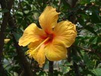 DSC04706.jpg