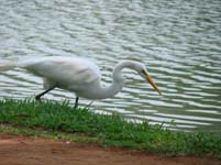 DSC04737.jpg