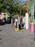 DSC08239.jpg