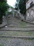 DSC06624.jpg