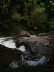 DSC06758.jpg