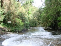 DSC06766.jpg